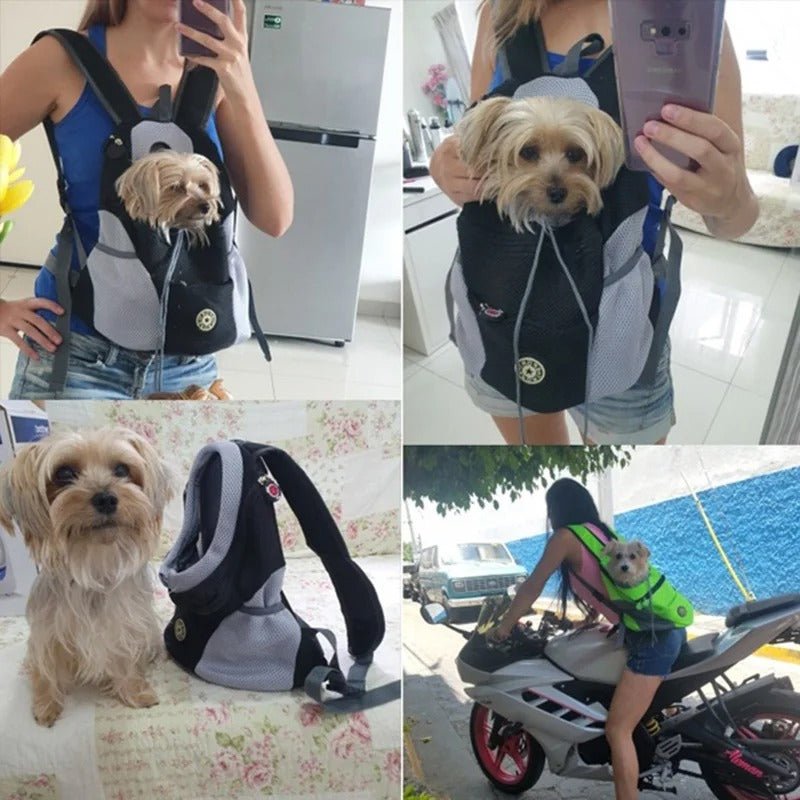 Sac a Dos pour Chien - DogCarrierâą - ChienDog