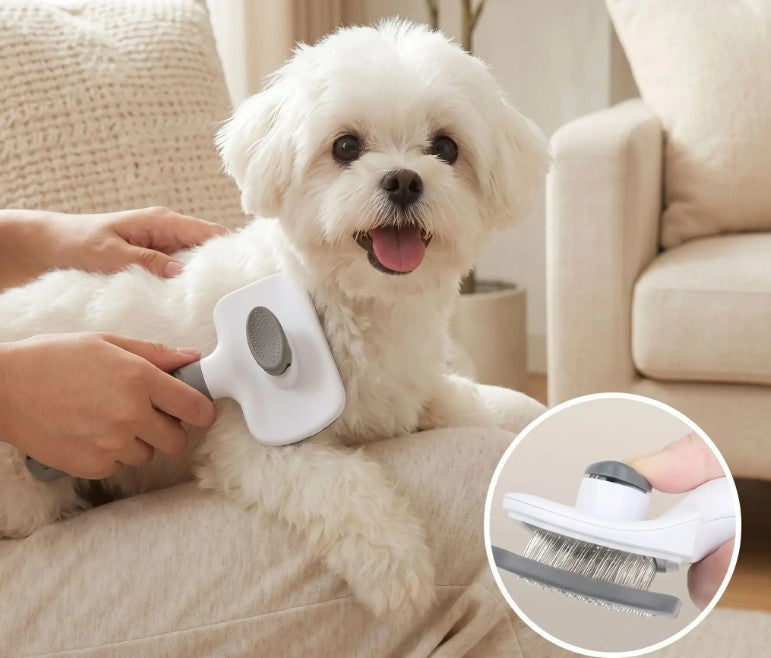 Brosse anti-poils pour animaux – HairCatcher™ : la solution efficace contre les poils partout