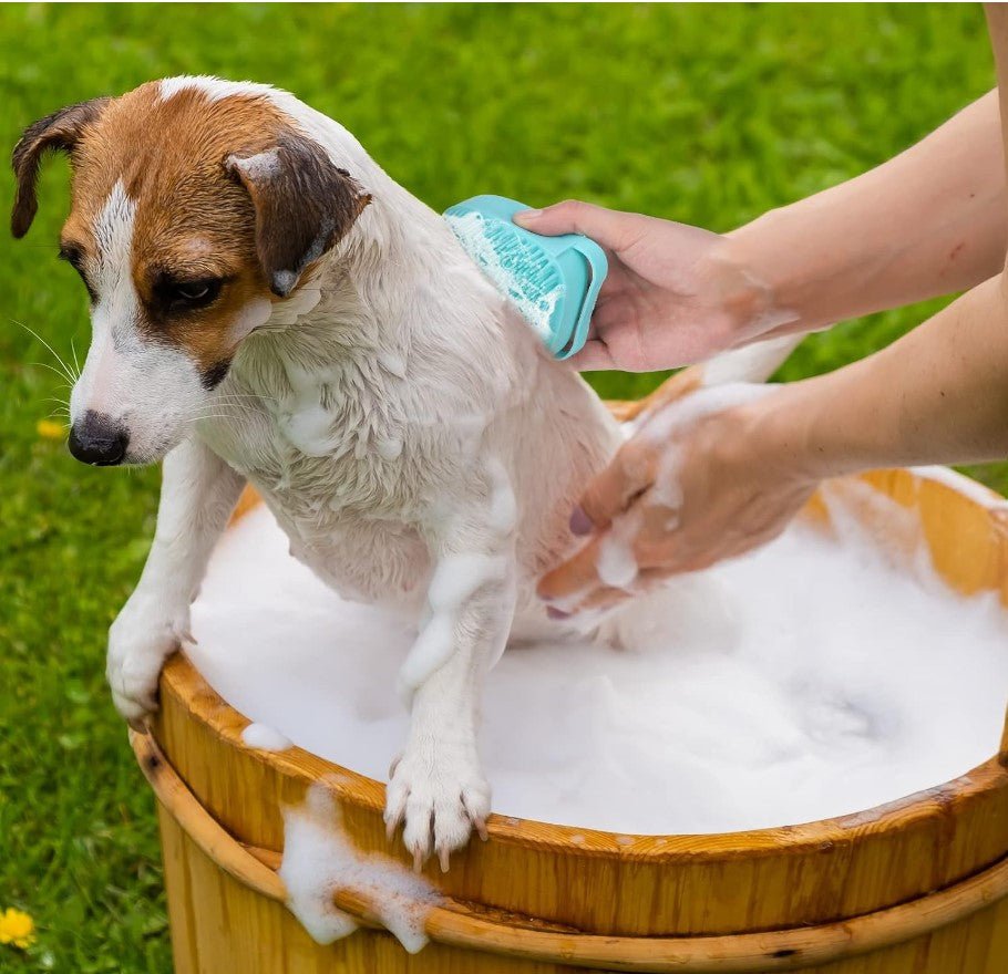 Offrez un Toilettage agréable et amusant a votre Chien! - ChienDog