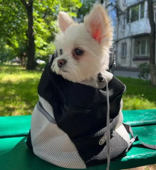 Sac a Dos pour Chien - DogCarrier™ - ChienDog