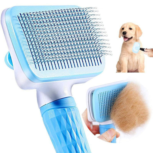 Transformez le Toilettage de Votre Chien en un Instant de Plaisir ! - ChienDog