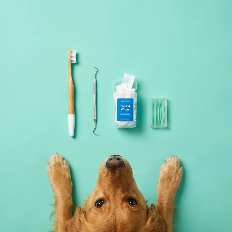 Brosse à dents pour chien avec accessoires d’hygiène buccale – Collection ChienDog
