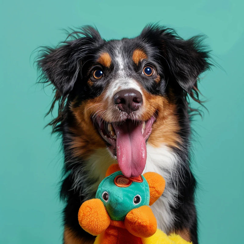 chiendog-collection-jouets-chien-dog-colorful-toy