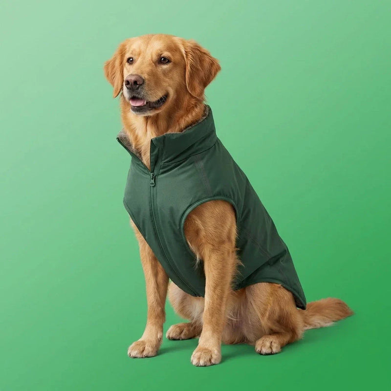 Manteau imperméable et chaud pour chien protégeant du froid et de la pluie