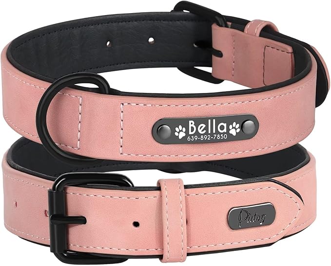 Collier Chien Personnalisé - Wouf’Tag™