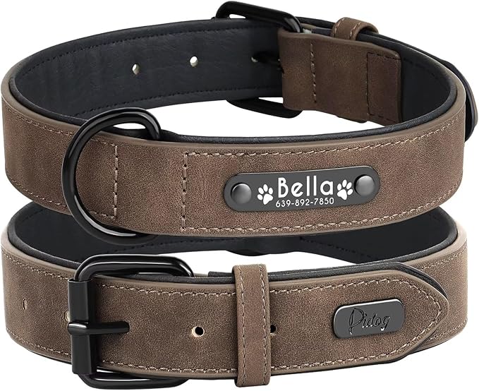 Collier Chien Personnalisé - Wouf’Tag™