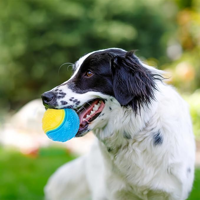 Balle pour Chien - Mordiboule™