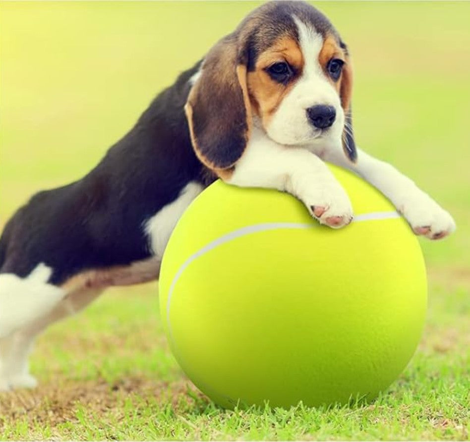 Balle pour Chien - Tennichien™