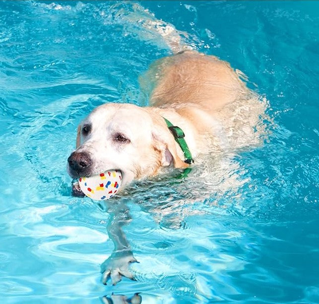 Balle pour Chien - Mastiball™