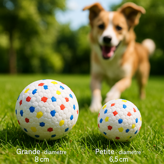 Balle pour Chien - Mastiball™