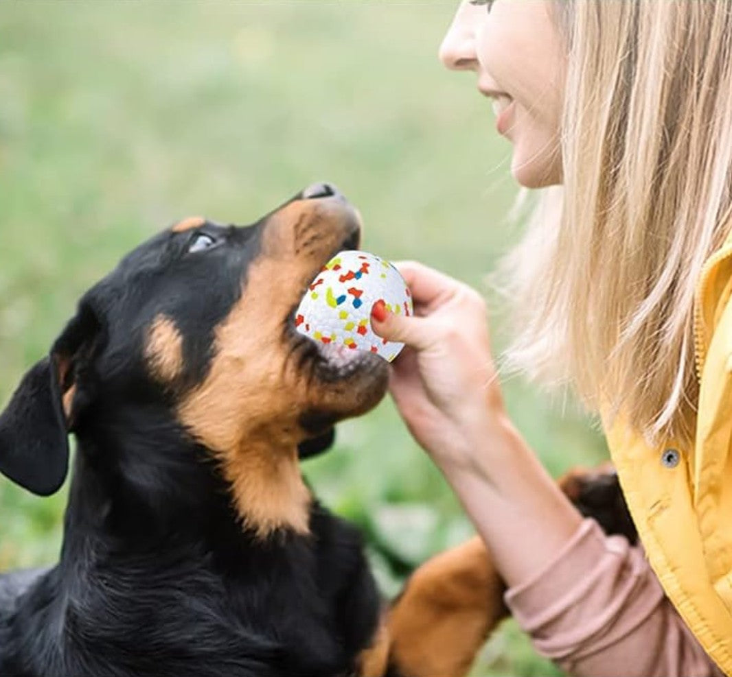 Balle pour Chien - Mastiball™