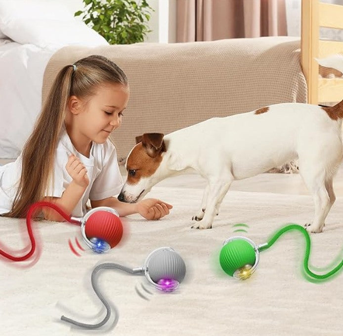 Balle pour Chien - Roulix™