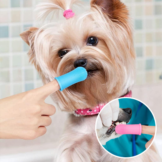 Brosse a dent Chien - BoucheClair™