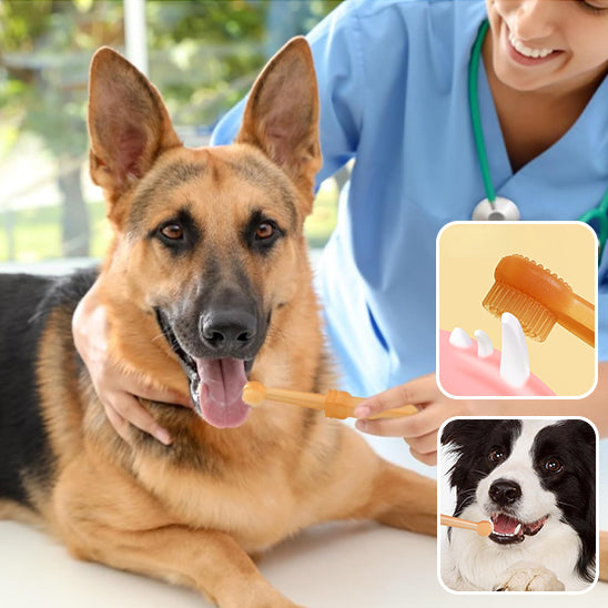 Brosse a dent Chien - FlexBross™