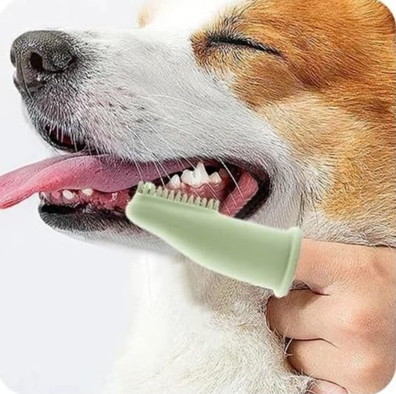 Brosse a dent Chien - DentiPaw™