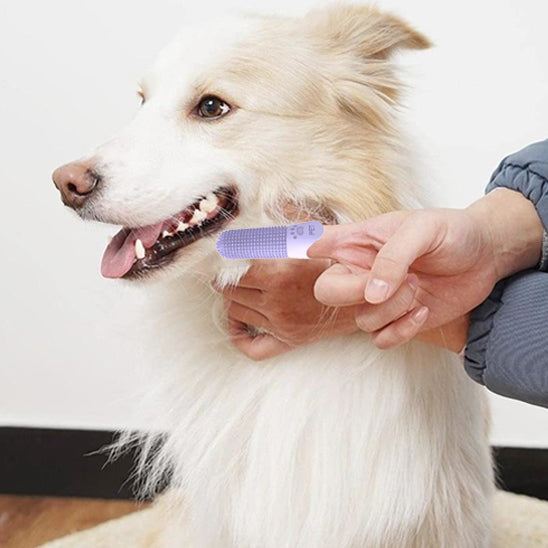 Brosse a dent Chien - DoigtDent™
