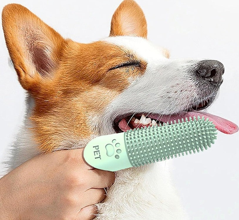 Brosse a dent Chien - DoigtDent™