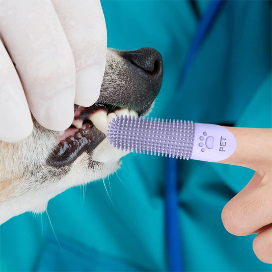 Brosse a dent Chien - DoigtDent™