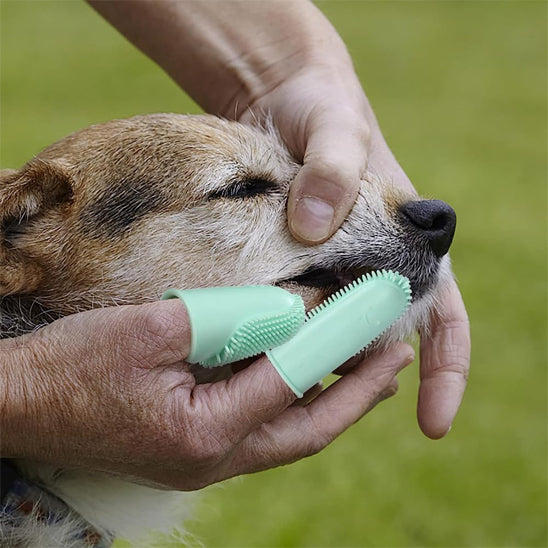 Brosse a dent Chien - DouceDent'Duo™
