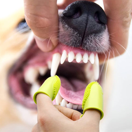 Brosse a dent Chien - DouceDent'Duo™