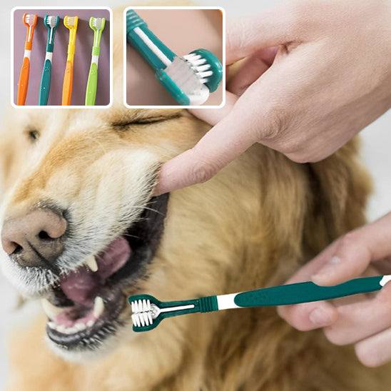 Brosse à dents pour Chien - TripleBross™