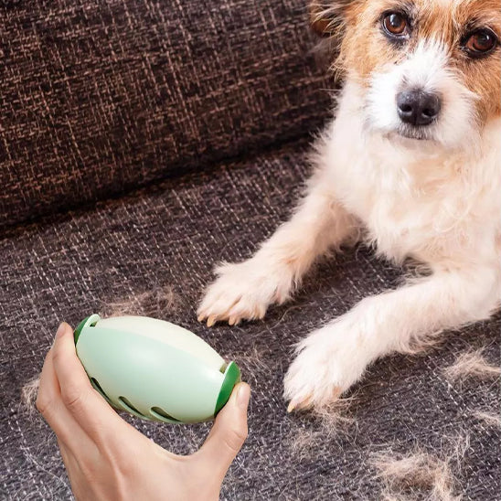 Brosse pour Chien - LisseRoll™