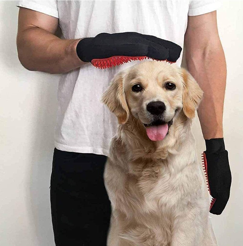 Brosse pour Chien - Toilett'Zen™