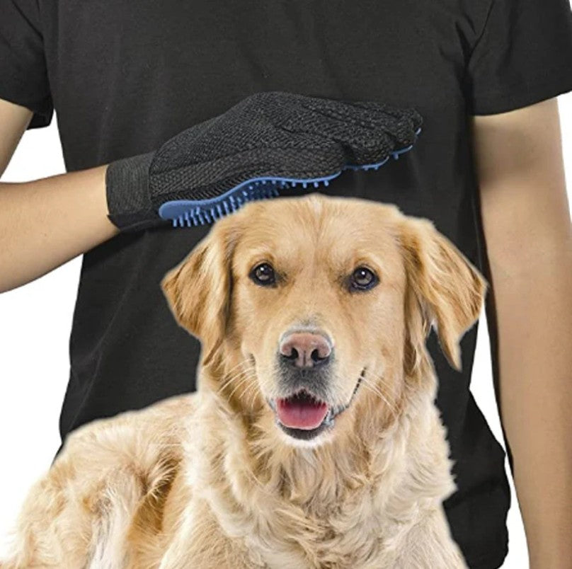 Brosse pour Chien - Toilett'Zen™