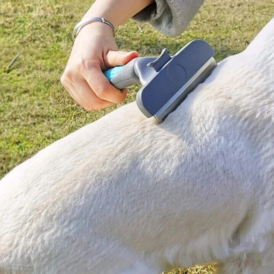 Brosse pour chien poil long | Autonettoyante™