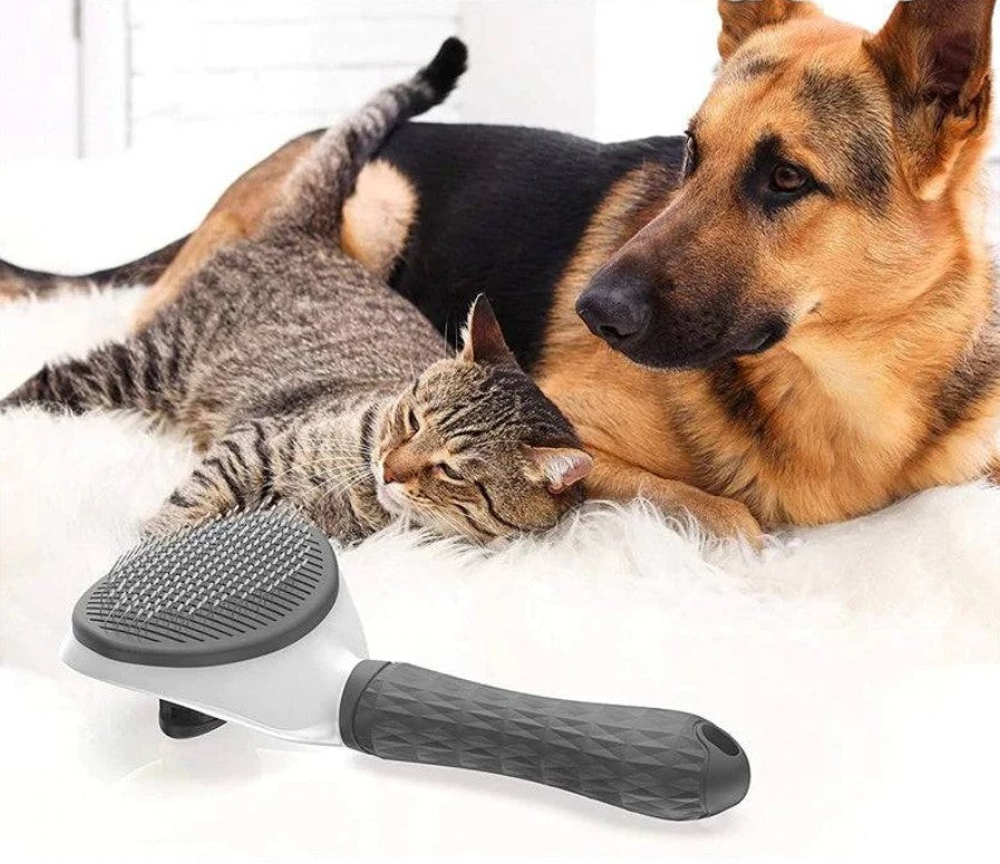 Brosse pour chien - DémelPoil™