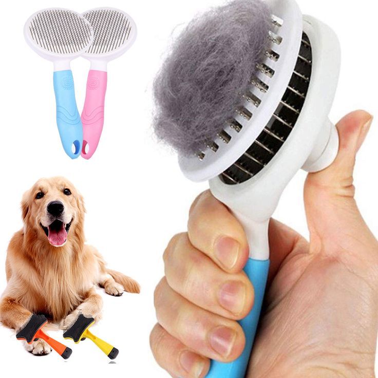 Brosse pour chien - DémelPoil™