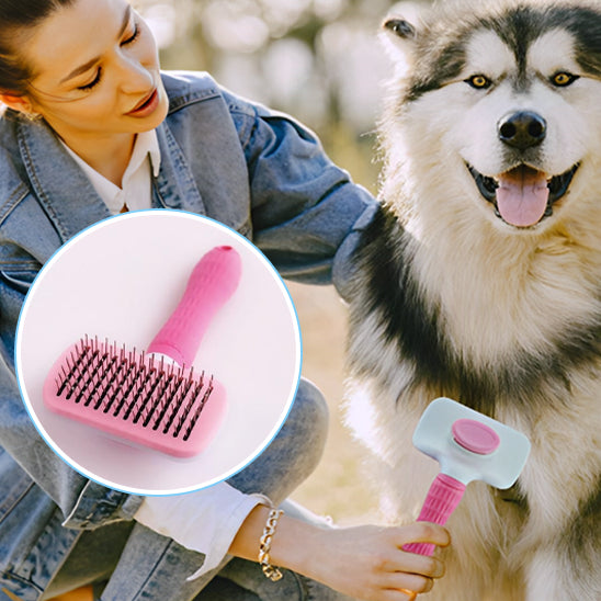 Brosse pour chien - DémelPoil™