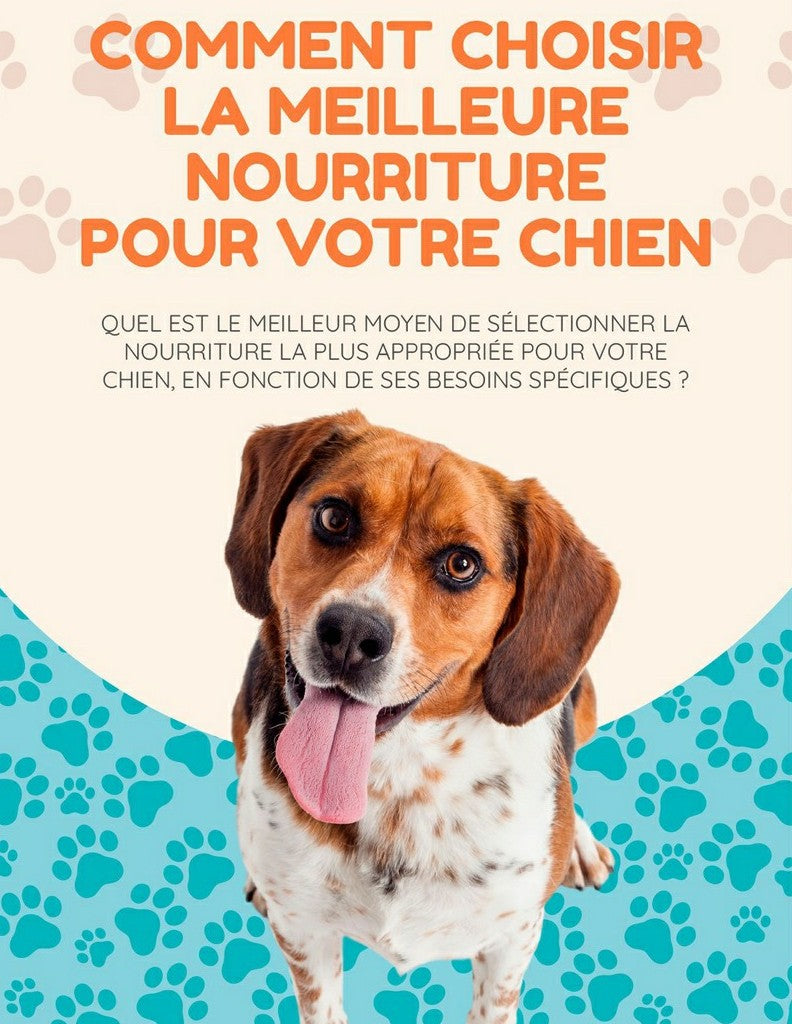 E-book: Comment choisir la meilleure nourriture pour votre chien