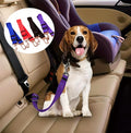 Ceinture sécurité Chien - ChienFix™