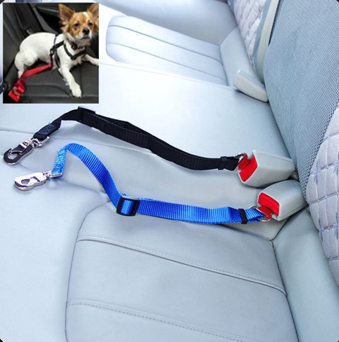 Ceinture sécurité Chien - ChienFix™