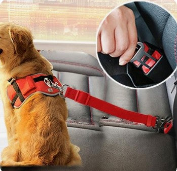 Ceinture sécurité Chien - ChienFix™