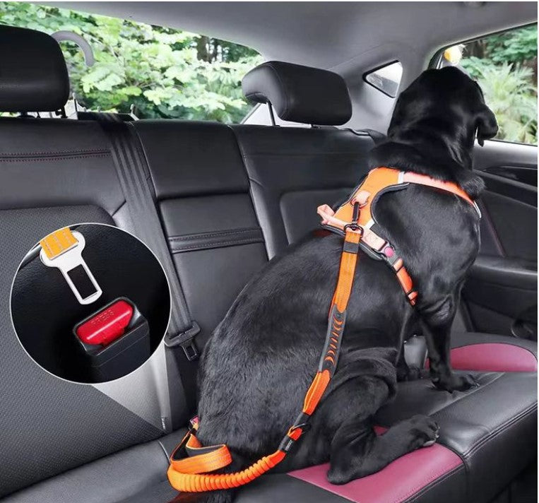 Ceinture sécurité Chien - ChienFix™