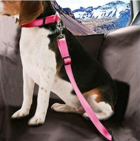 Ceinture sécurité Chien - ChienFix™