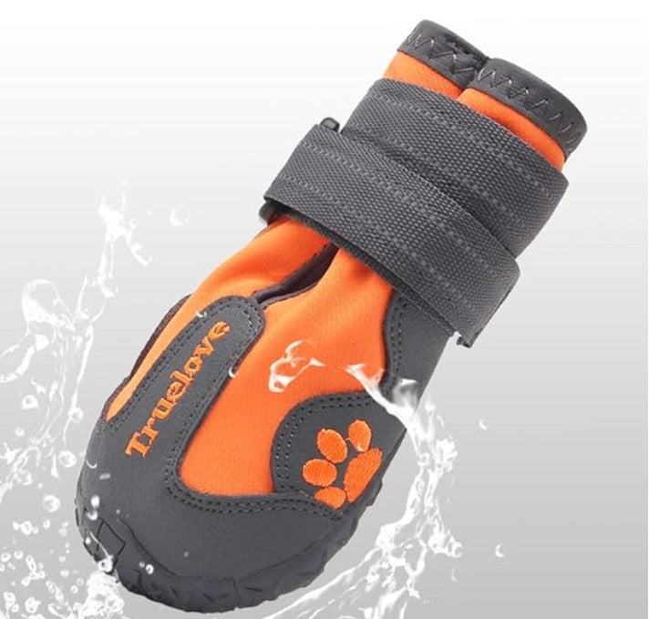 Chaussures Chien – AntiGlisse™