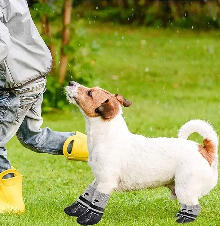 Chausson Chien - ChaussettesFix™