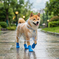 Chaussures Chien - BottePluie™