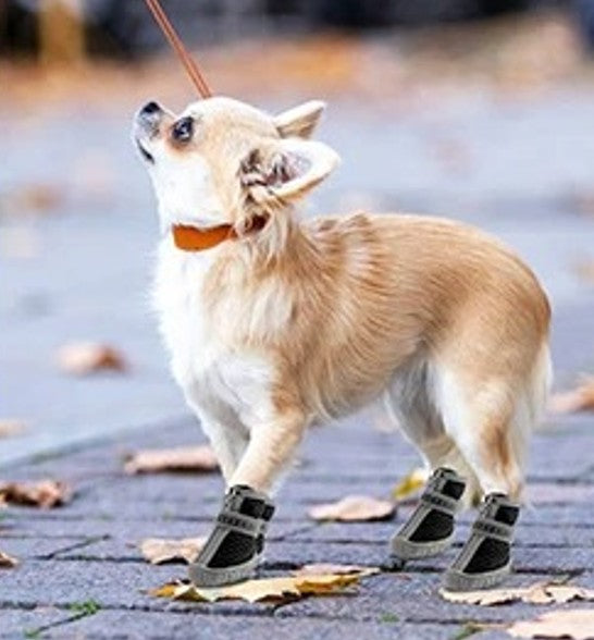Chaussures Chien - PattesRando™