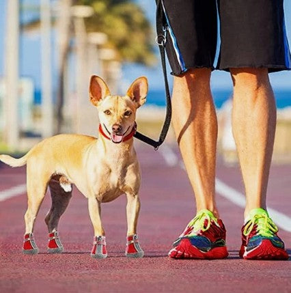 Chaussures Chien - PattesRando™