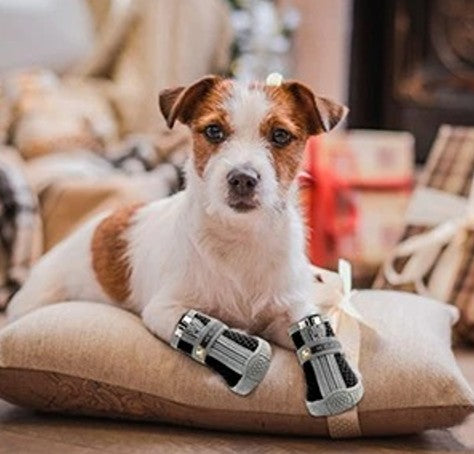 Chaussures Chien - PattesRando™