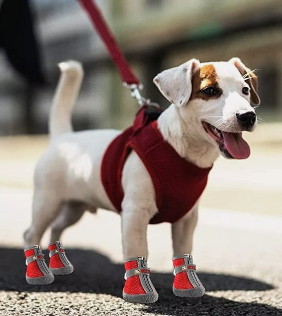 Chaussures Chien - PattesRando™
