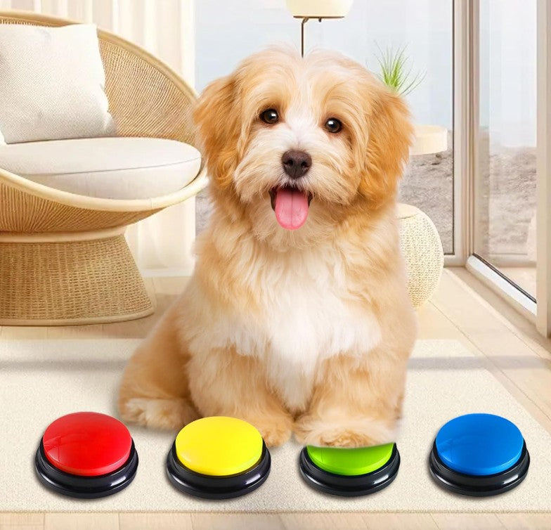 Clic d'apprentissage – DressClic™