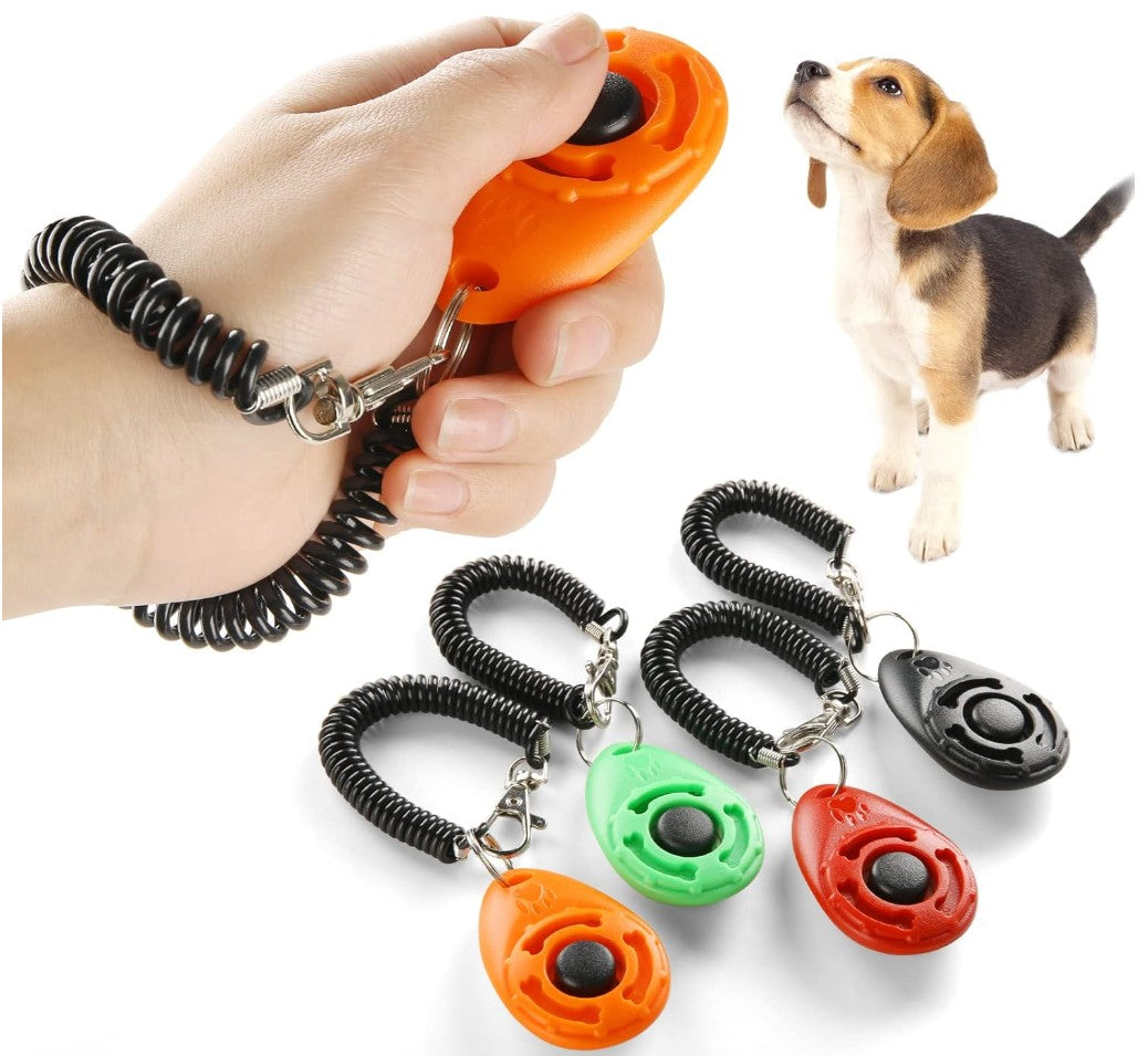 Dressage Chien - CliqDress™