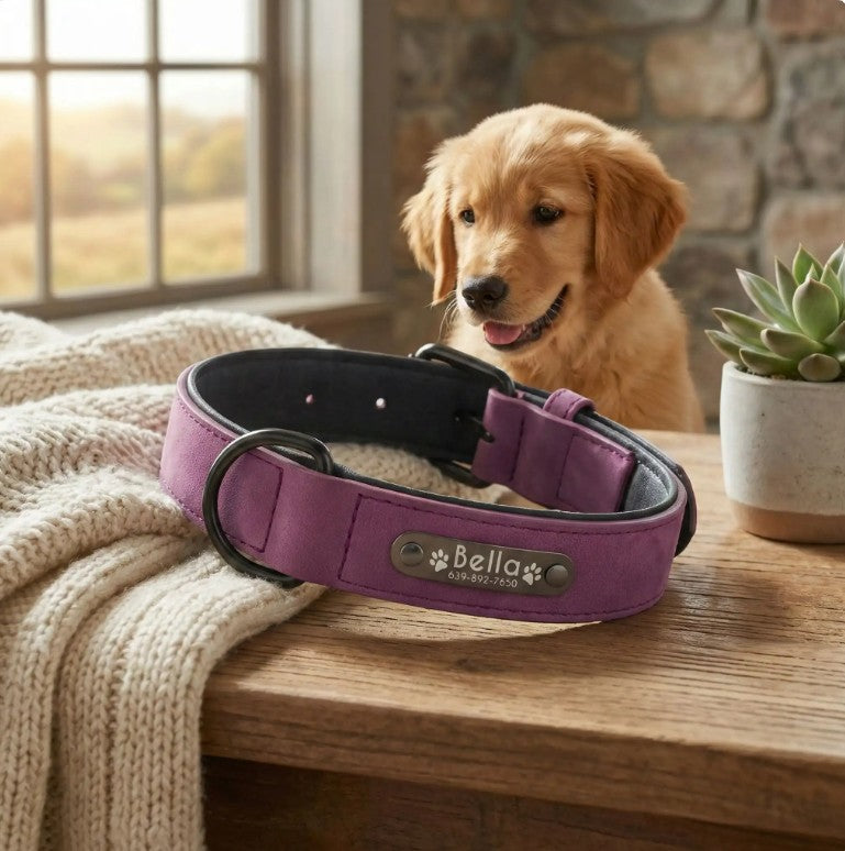 Collier Chien Personnalisé - Wouf’Tag™