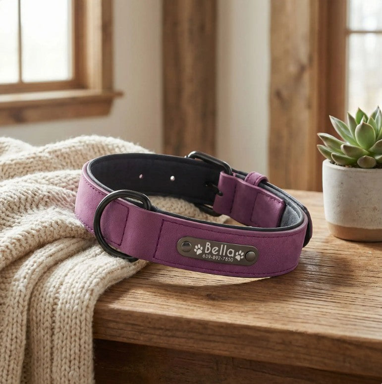 Collier Chien Personnalisé - Wouf’Tag™