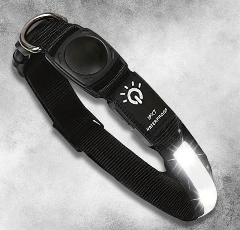 Collier GPS Chien - EclaiColl™